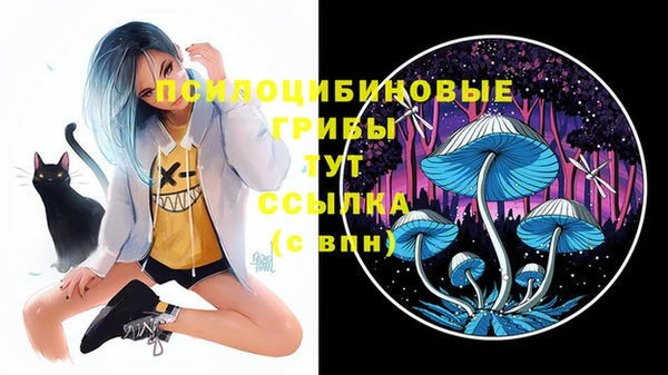 шишки Балахна