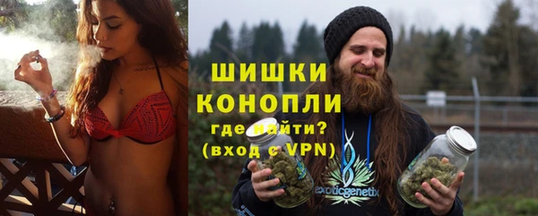 шишки Балахна
