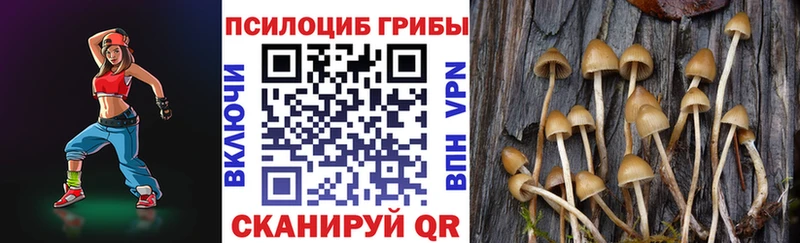 где купить наркоту Белинский Галлюциногенные грибы MAGIC MUSHROOMS
